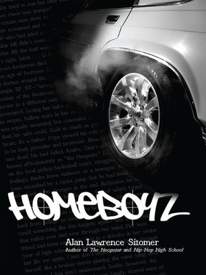 cover image of Homeboyz